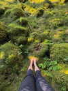 milkimind Altpins Profile Picture