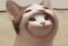 milkimindxo Altpins Profile Picture