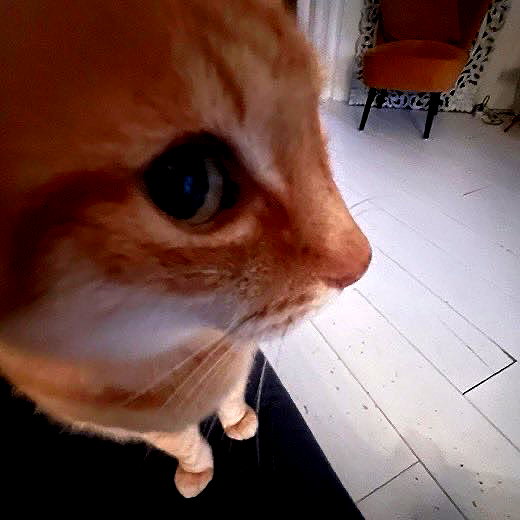 milkimindxo instagram image archive image