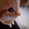 milkimindxo Altpins Profile Picture