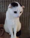 milkimindxo Altpins Profile Picture