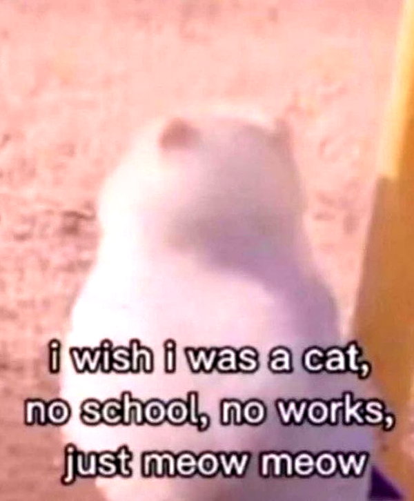 milkimindxo instagram image archive image
