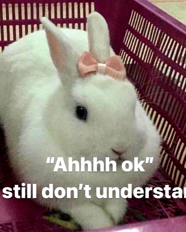 milkimindxo instagram image archive image