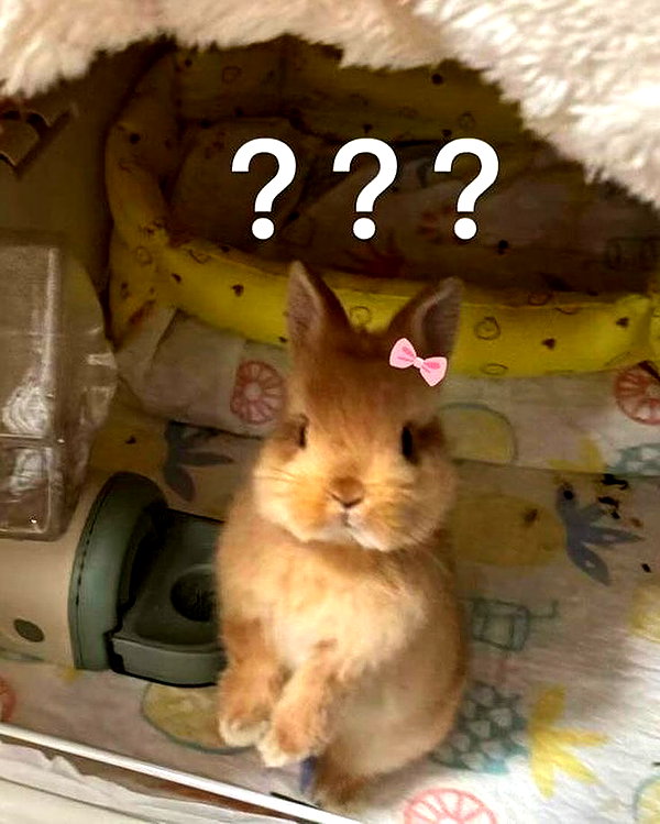 milkimindxo instagram image archive image