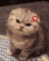 milkimindxo Altpins Profile Picture