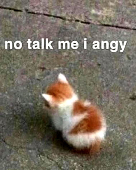 milkimindxo instagram image archive image