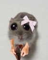 milkimindxo Altpins Profile Picture