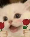 milkimindxo Altpins Profile Picture