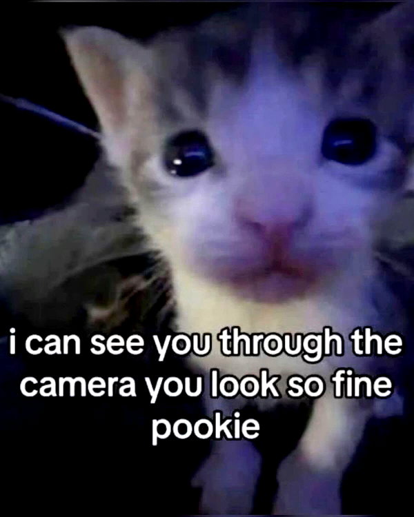 milkimindxo instagram image archive image