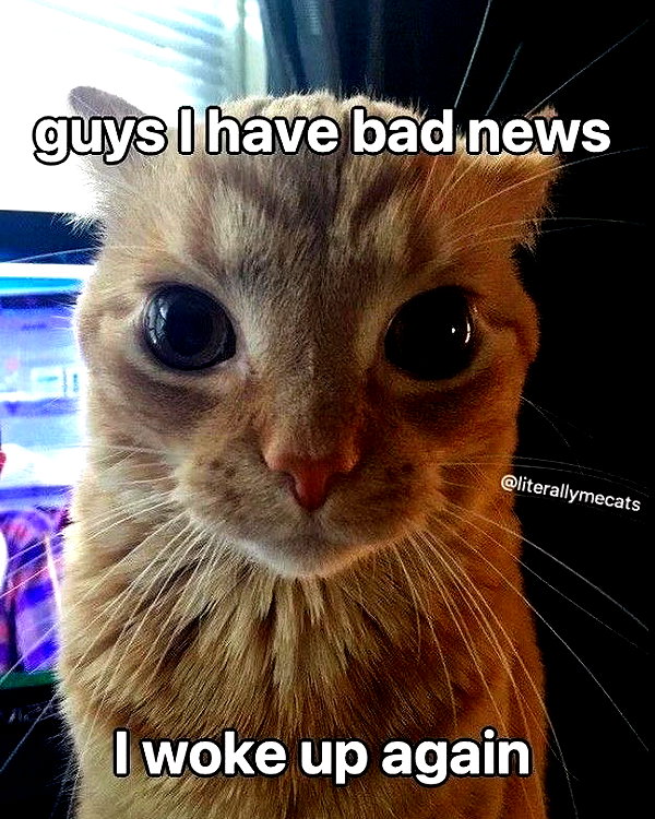 milkimindxo instagram image archive image