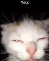 milkimindxo Altpins Profile Picture