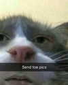 milkimindxo Altpins Profile Picture