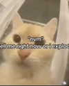 milkimindxo Altpins Profile Picture