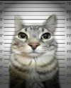 milkimindxo Altpins Profile Picture