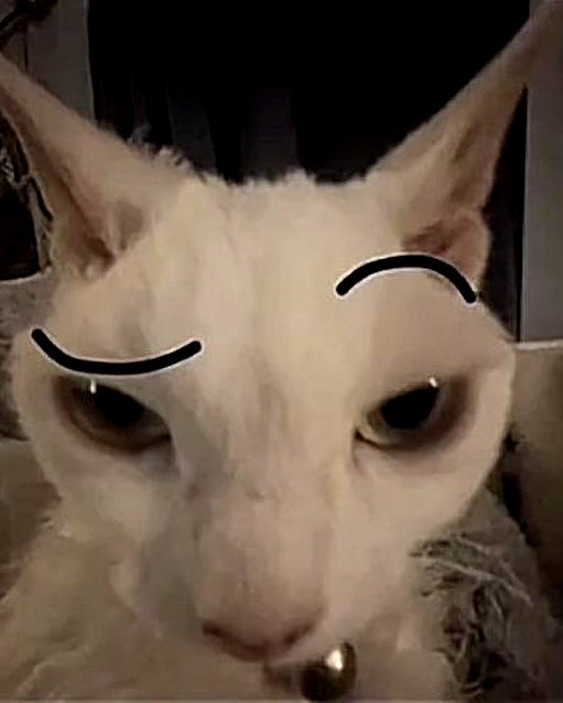 milkimindxo instagram image archive image