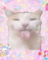 milkimindxo Altpins Profile Picture
