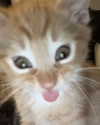 milkimindxo Altpins Profile Picture