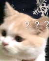milkimindxo Altpins Profile Picture