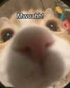 milkimindxo Altpins Profile Picture