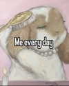 milkimindxo Altpins Profile Picture