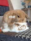 milkimindxo Altpins Profile Picture
