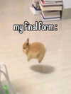 milkimindxo Altpins Profile Picture