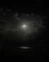 millie.bettsx Altpins Profile Picture