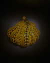 millie.bettsx Altpins Profile Picture