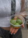 milly.norris Altpins Profile Picture