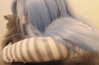 millz_490 Altpins Profile Picture