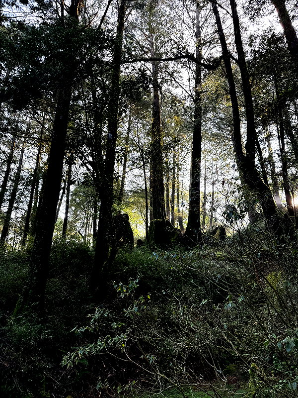 mimicakiez instagram image archive image