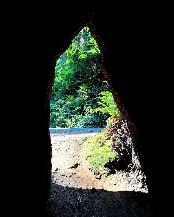 mimicakiez instagram image archive image