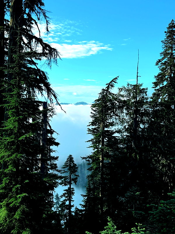mimicakiez instagram image archive image