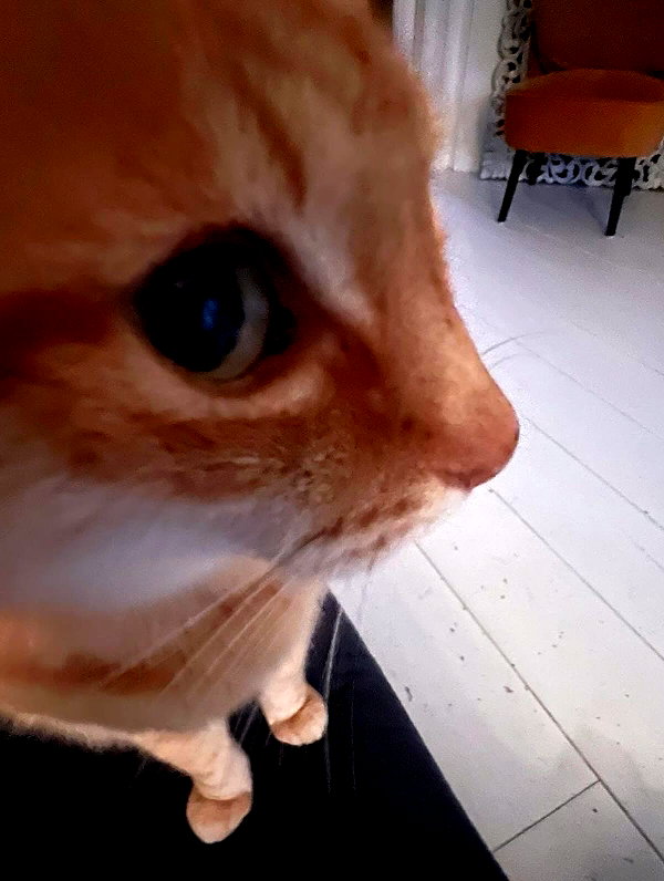 minenmi_ instagram image archive image