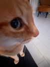 minenmi_ Altpins Profile Picture