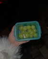 minicuta Altpins Profile Picture