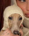 minttukorr Altpins Profile Picture