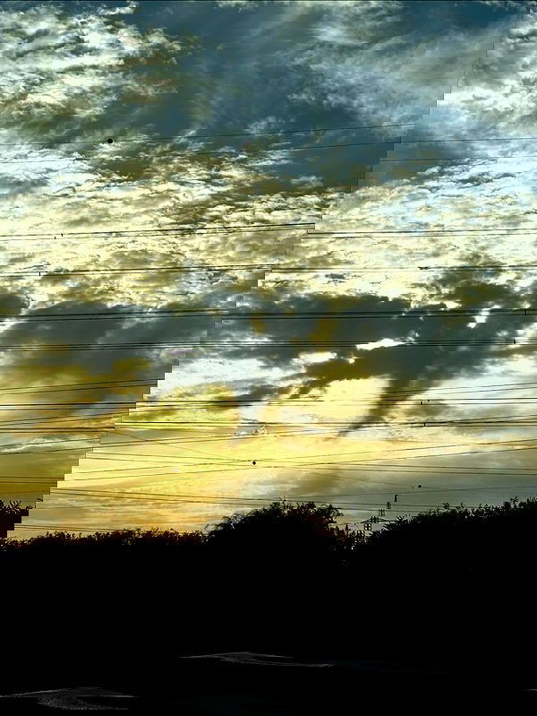 mishel116 mishel116 archive image