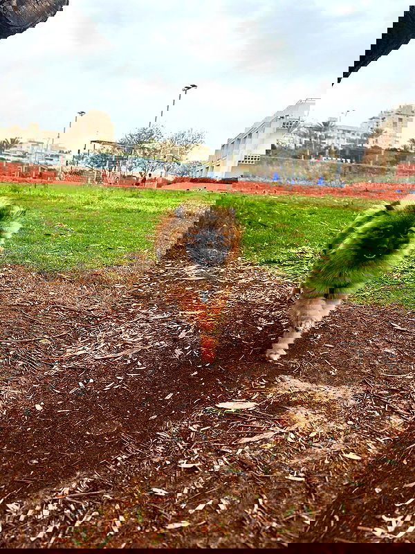 mishel116 mishel116 archive image