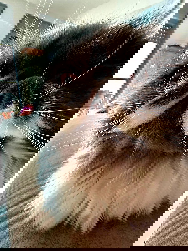 mishel116 mishel116 archive image