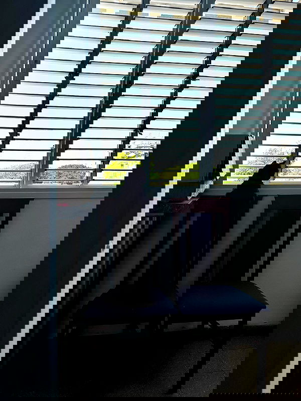 mishel116 mishel116 archive image