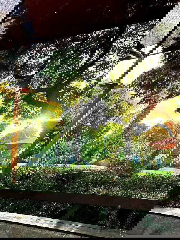 mishel116 mishel116 archive image