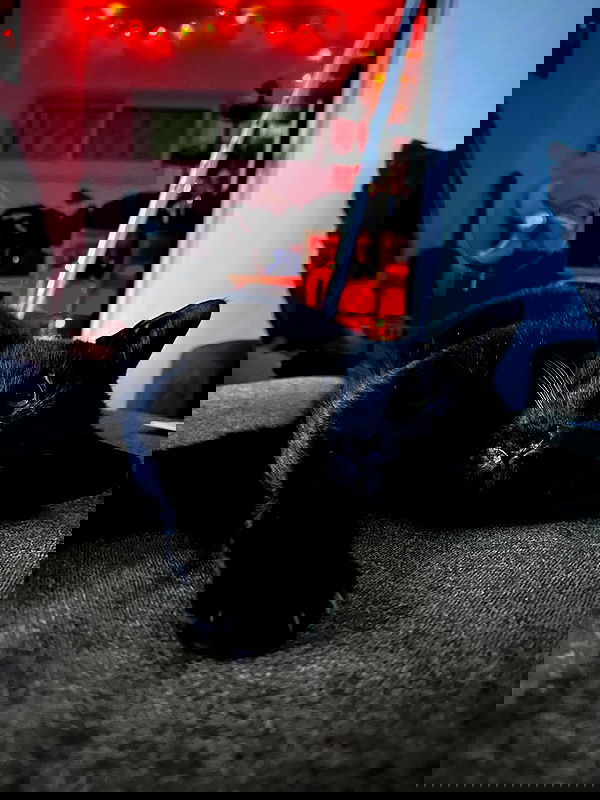 mishel116 mishel116 archive image