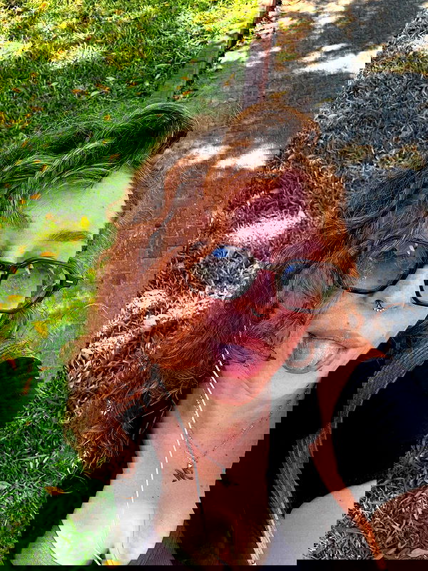 mishel116 mishel116 archive image