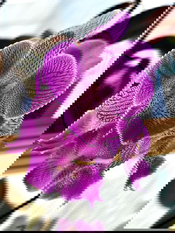 mishel116 mishel116 archive image