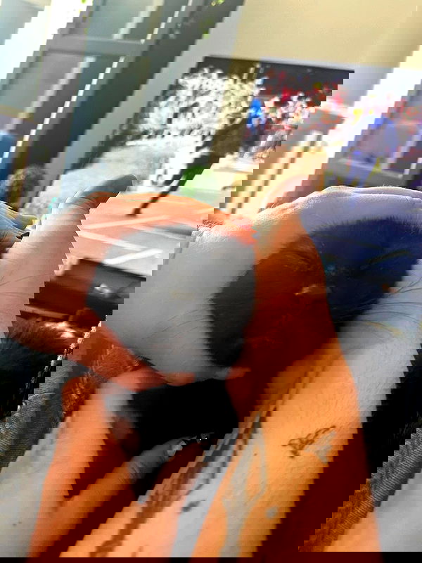 mishel116 mishel116 archive image