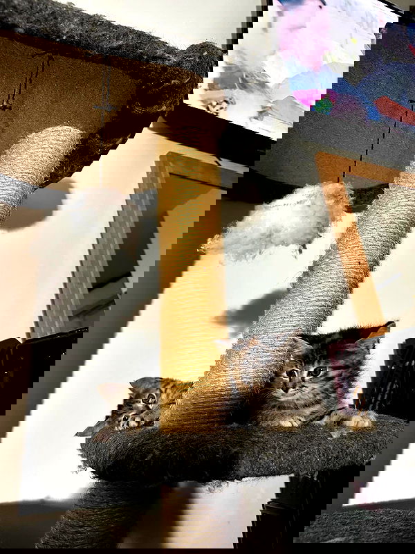 mishel116 mishel116 archive image