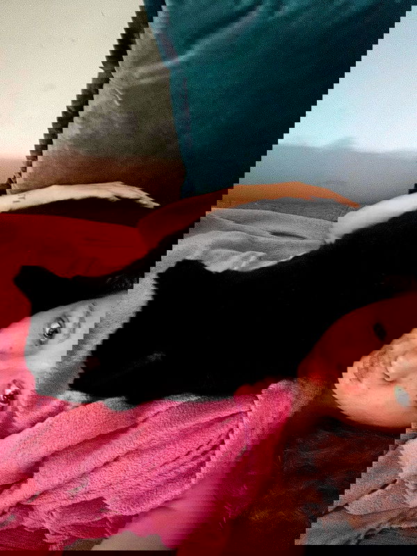 mishel116 mishel116 archive image