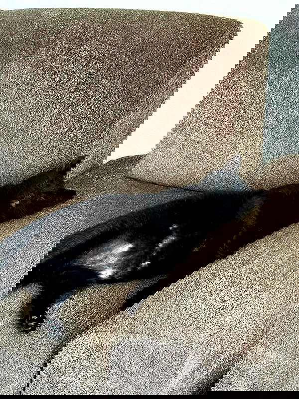 mishel116 mishel116 archive image