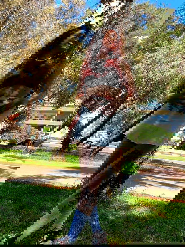 mishel116 mishel116 archive image